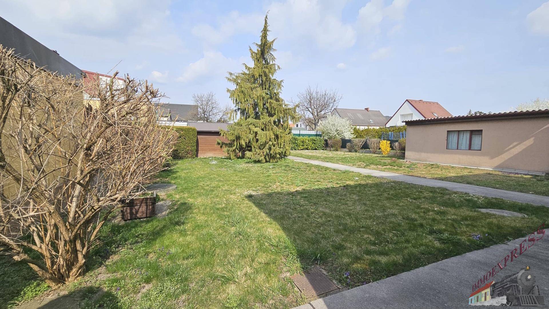 Großer Gartenbereich mit Rasenfläche, altem Nadelbaum und weiteren Gebäuden im Hintergrund.