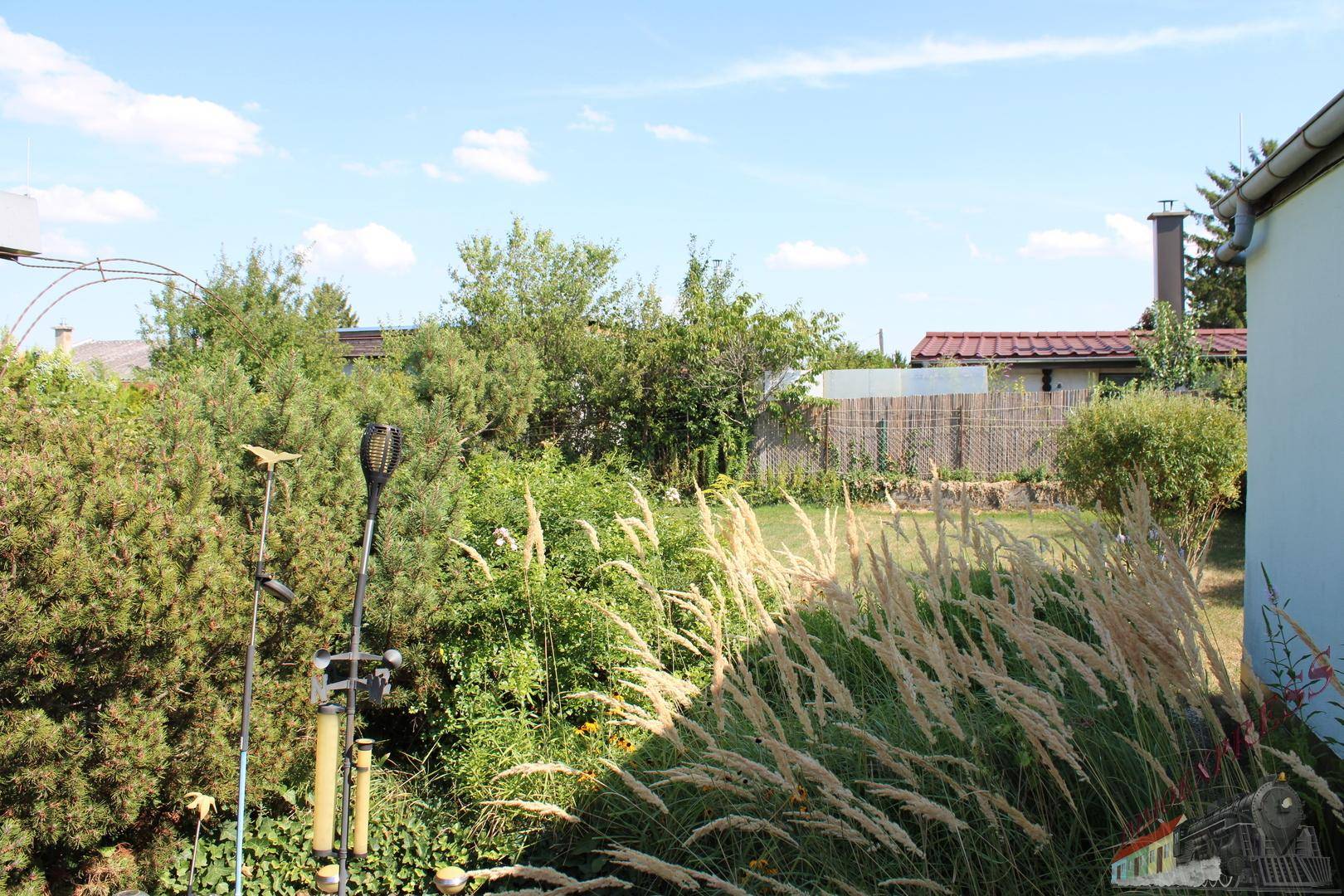 Gepflegter Garten mit hohen Gräsern, Sträuchern und Bäumen, angrenzend an ein Wohnhaus.