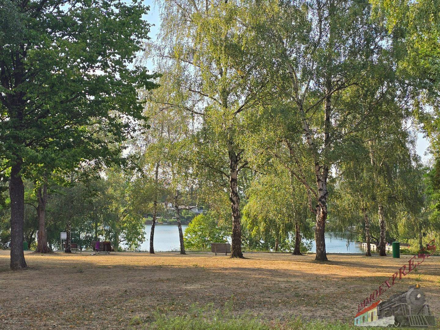 Grüne Parklandschaft mit hohen Bäumen, Sitzbänken und einem entfernten Blick auf den See.