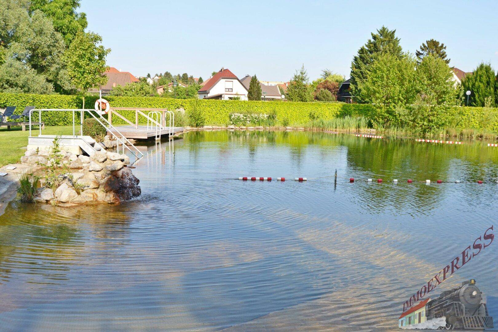 Bilder 063