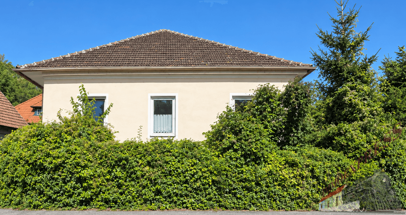 Seitenansicht des Hauses mit Satteldach, teilweise verdeckt von einer hohen Hecke und Bäumen.
