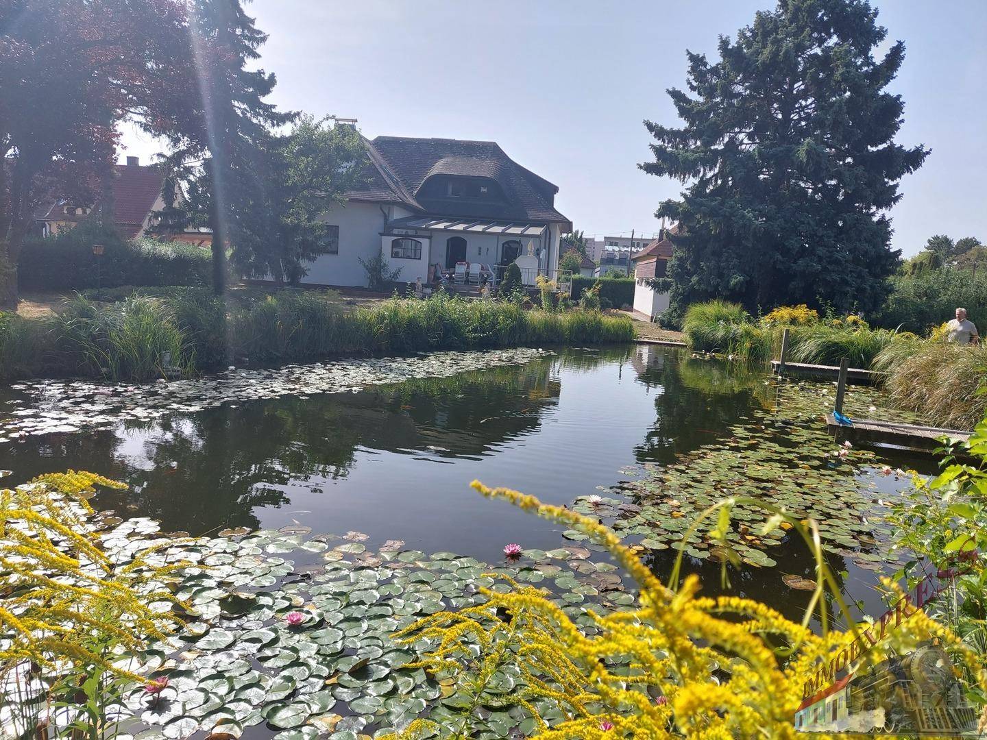 Malerischer Teich mit Seerosen und üppiger Vegetation, im Hintergrund das charmante Haus.