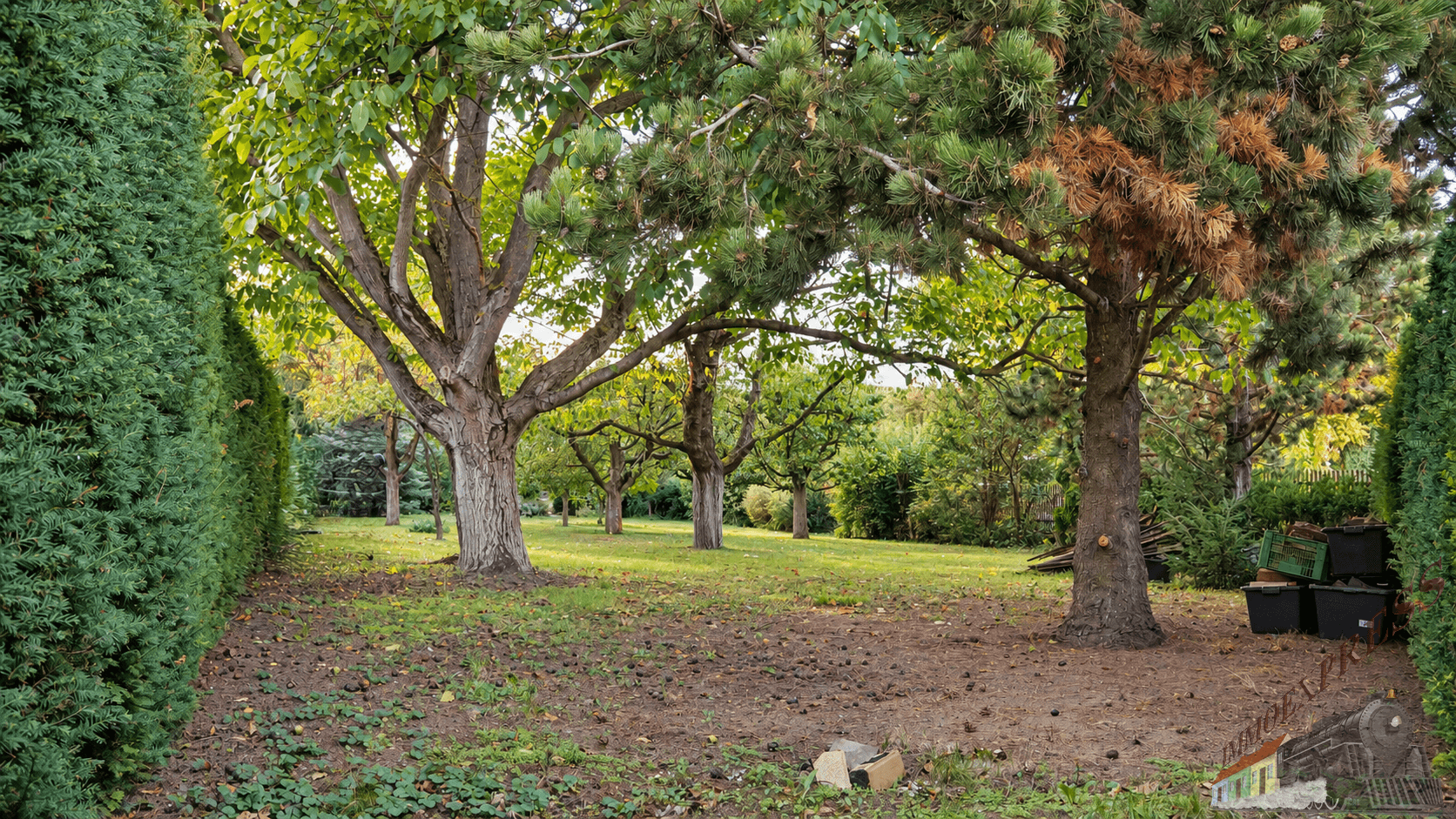 Ruhiger Garten mit hohen Bäumen und dichtem Heckenbewuchs, ideal zum Entspannen im Grünen.