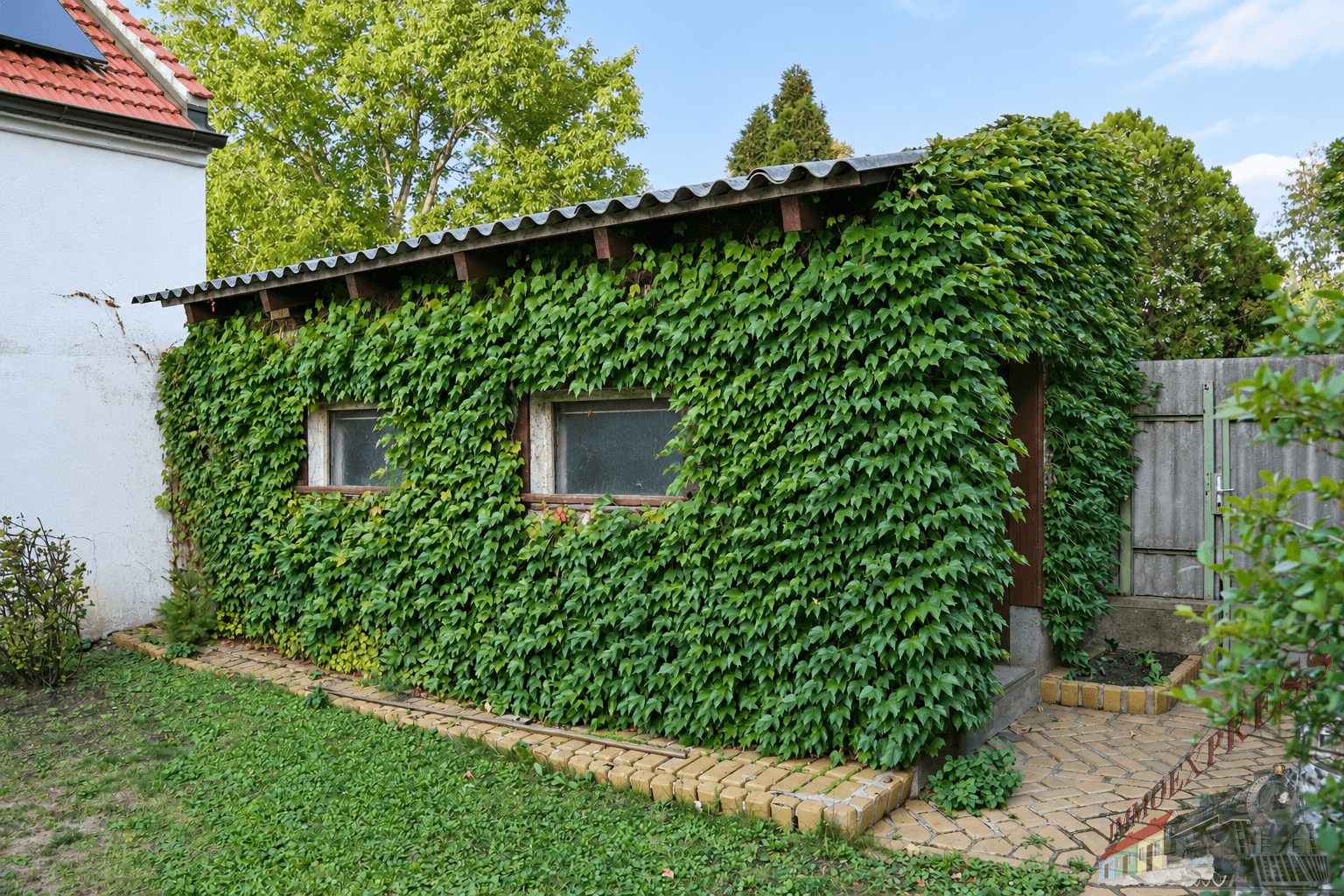 Kleiner, mit Efeu bewachsener Gartenschuppen mit Wellblechdach und zwei Fenstern im Grünen.