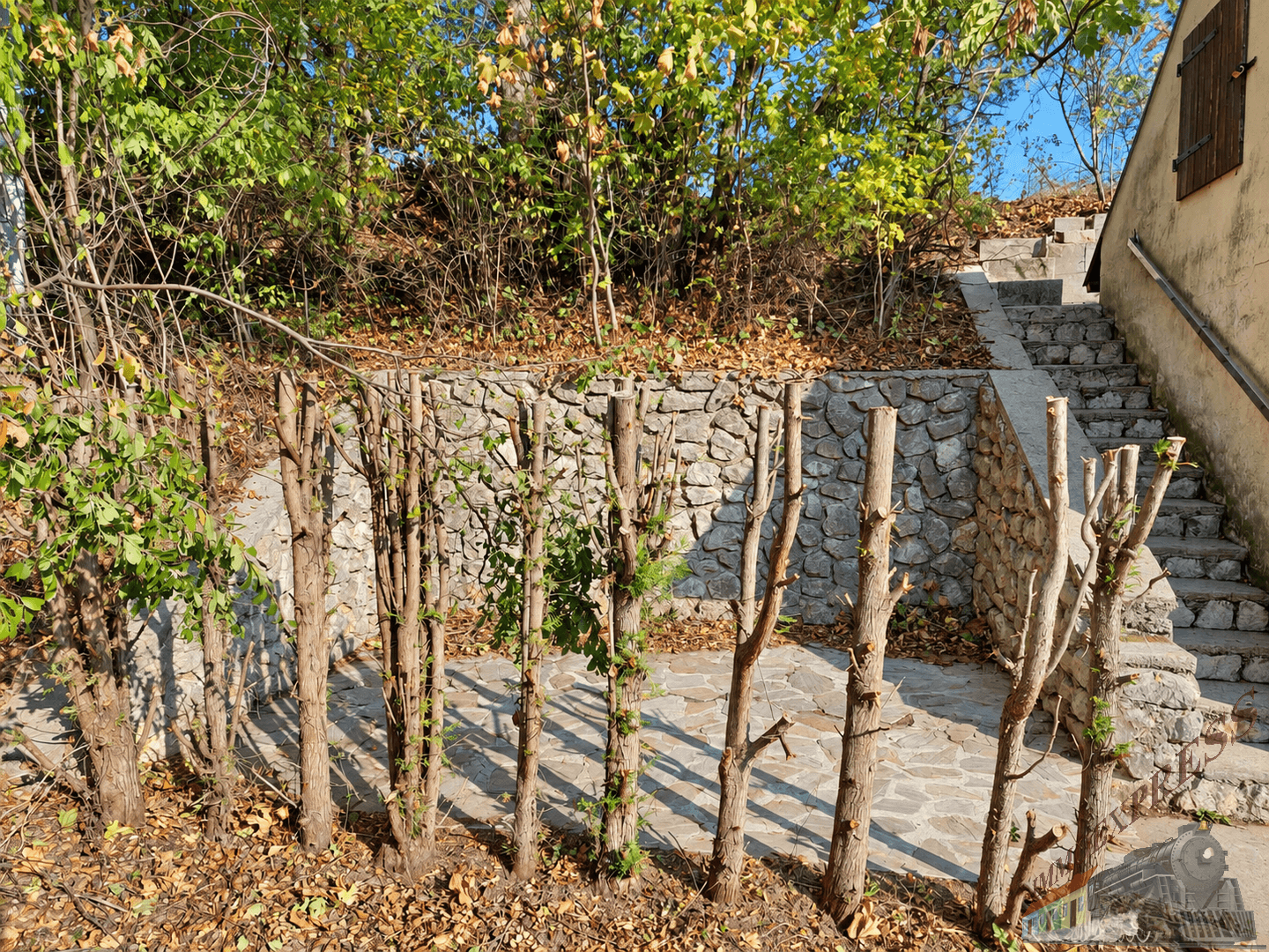 Steintreppe und Trockenmauer in einer natürlichen, bewachsenen Umgebung mit viel Sonnenlicht.
