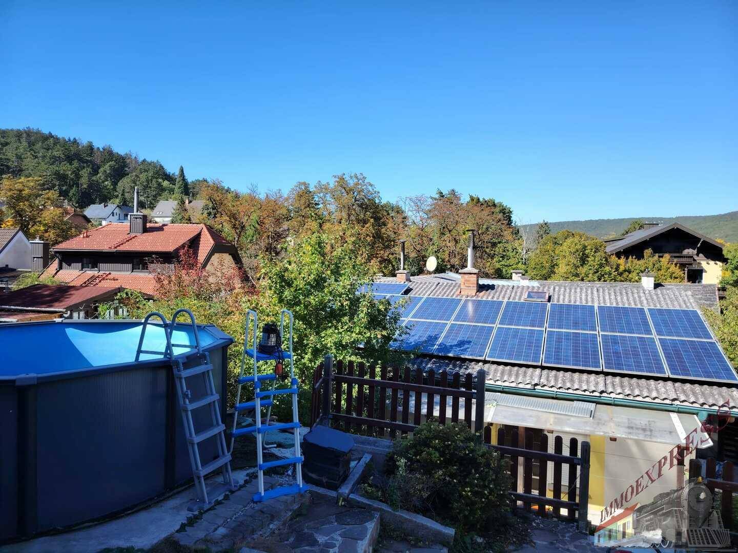 Gartenbereich mit einem Aufstellpool, umgeben von Bäumen und Blick auf die Nachbarschaft. Erfrischende Freizeitmöglichkeit.