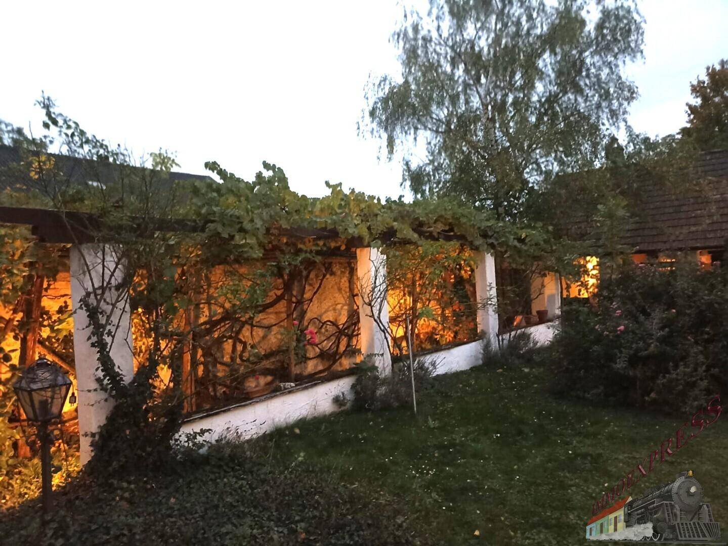 Gartenbereich mit bewachsener Pergola und Beleuchtung am Abend.
