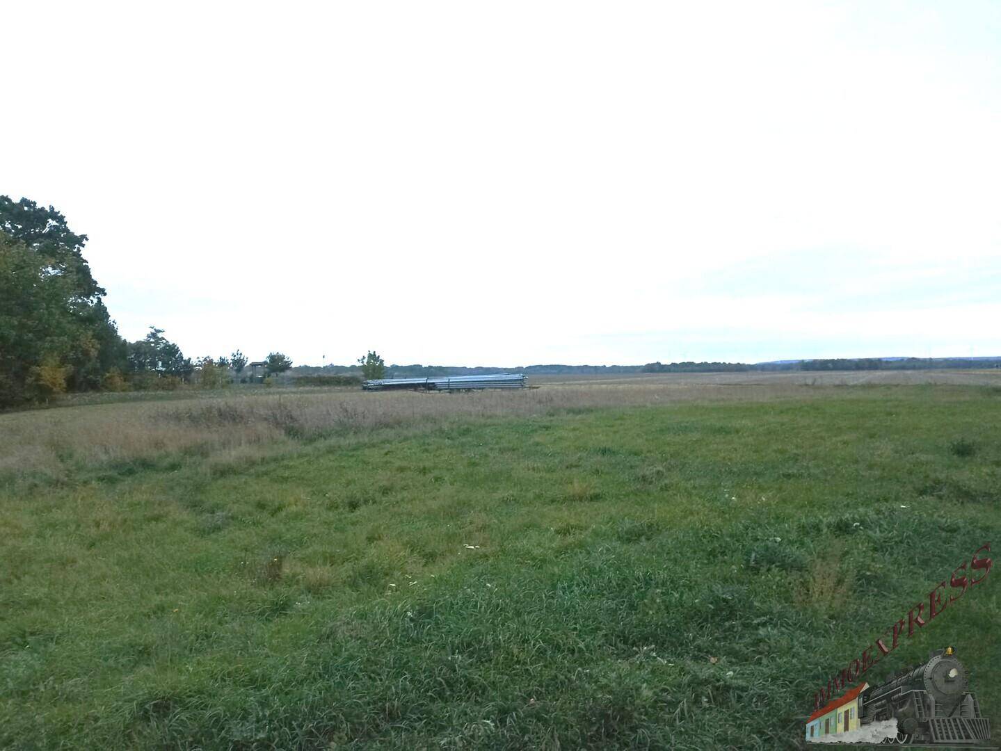 Weitläufiges Feld mit Gras und Horizont unter einem hellen Himmel.