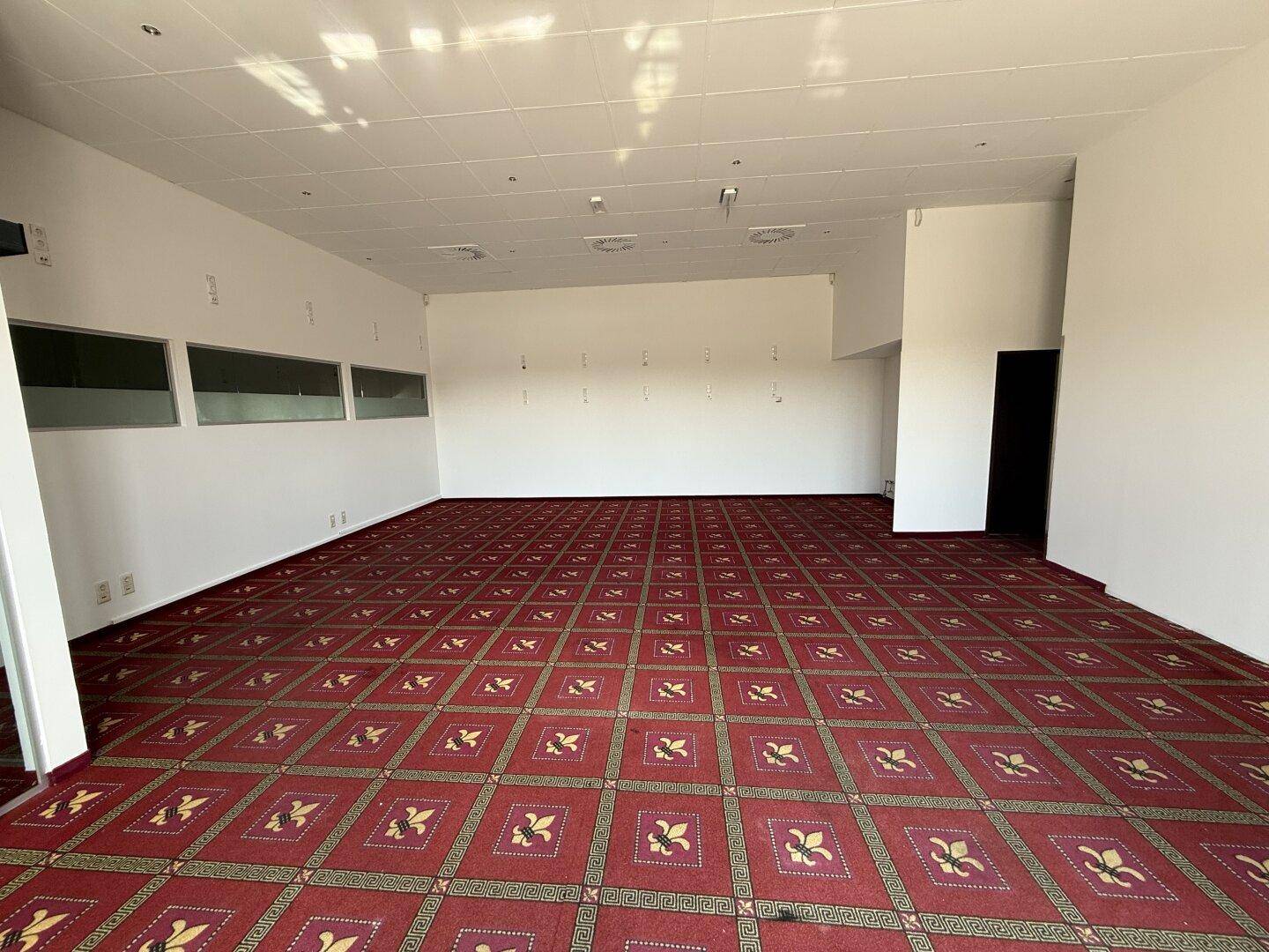 Wöllersdorf - Nähe Süd-Autobahnab-Auffahrt-Frequenzlage! Topausgestattetes Gewerbeobjekt - 170m², 3 Zimmer, 14 Stellplätze - Ansicht 5