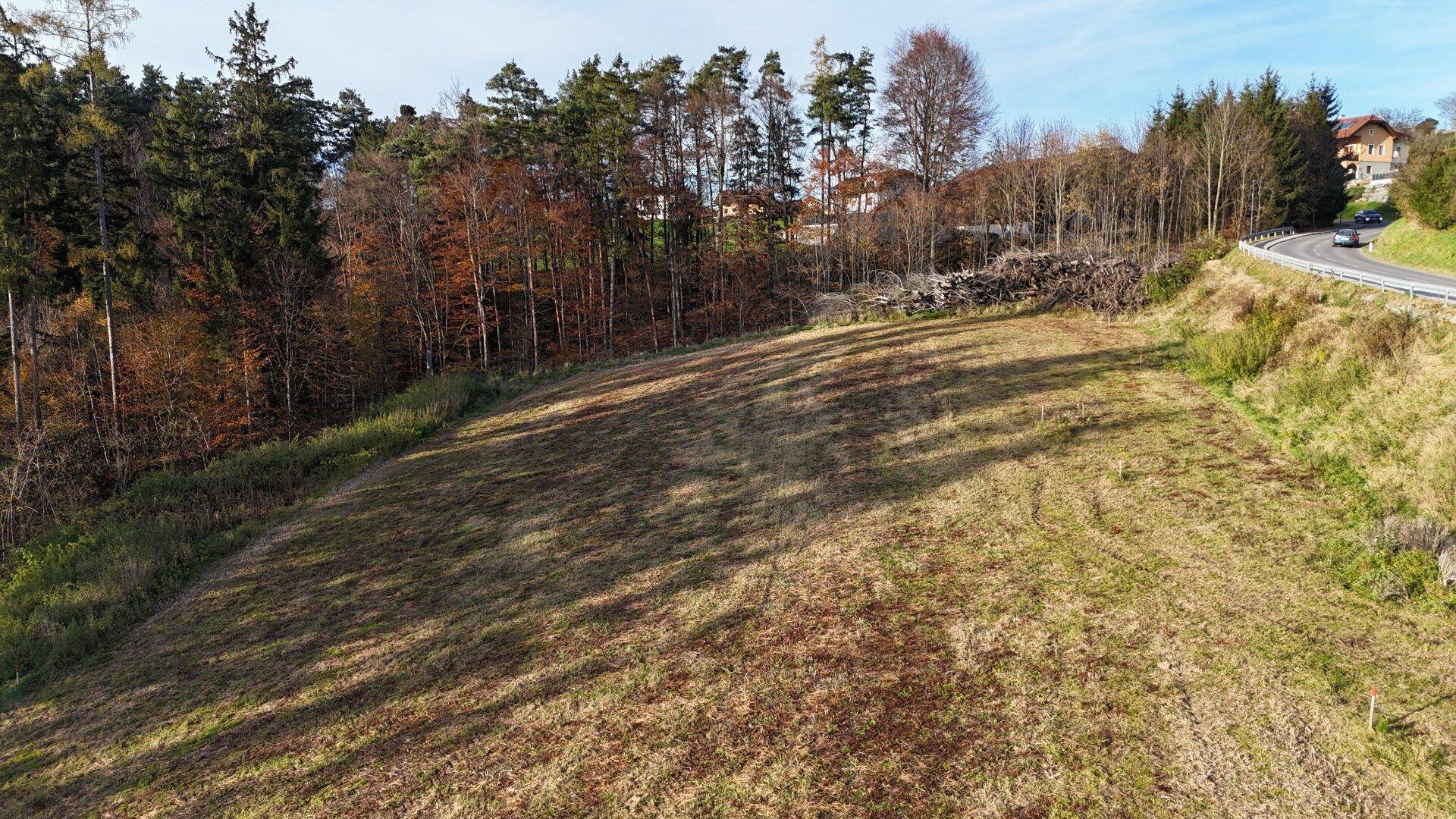 Großes Feld umgeben von dichtem Wald und einer Landstraße, mit Häusern in der Ferne.