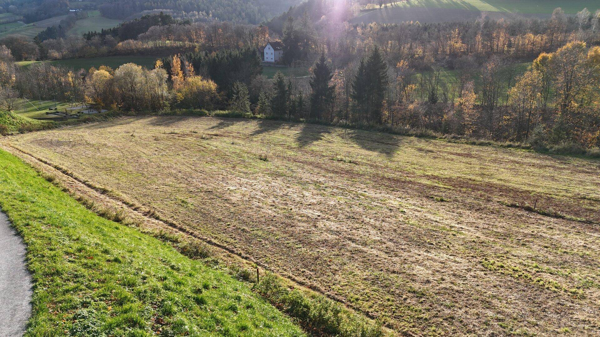 Weitläufiges Feld mit sanften Hügeln und bewaldeten Gebieten unter strahlendem Sonnenschein.
