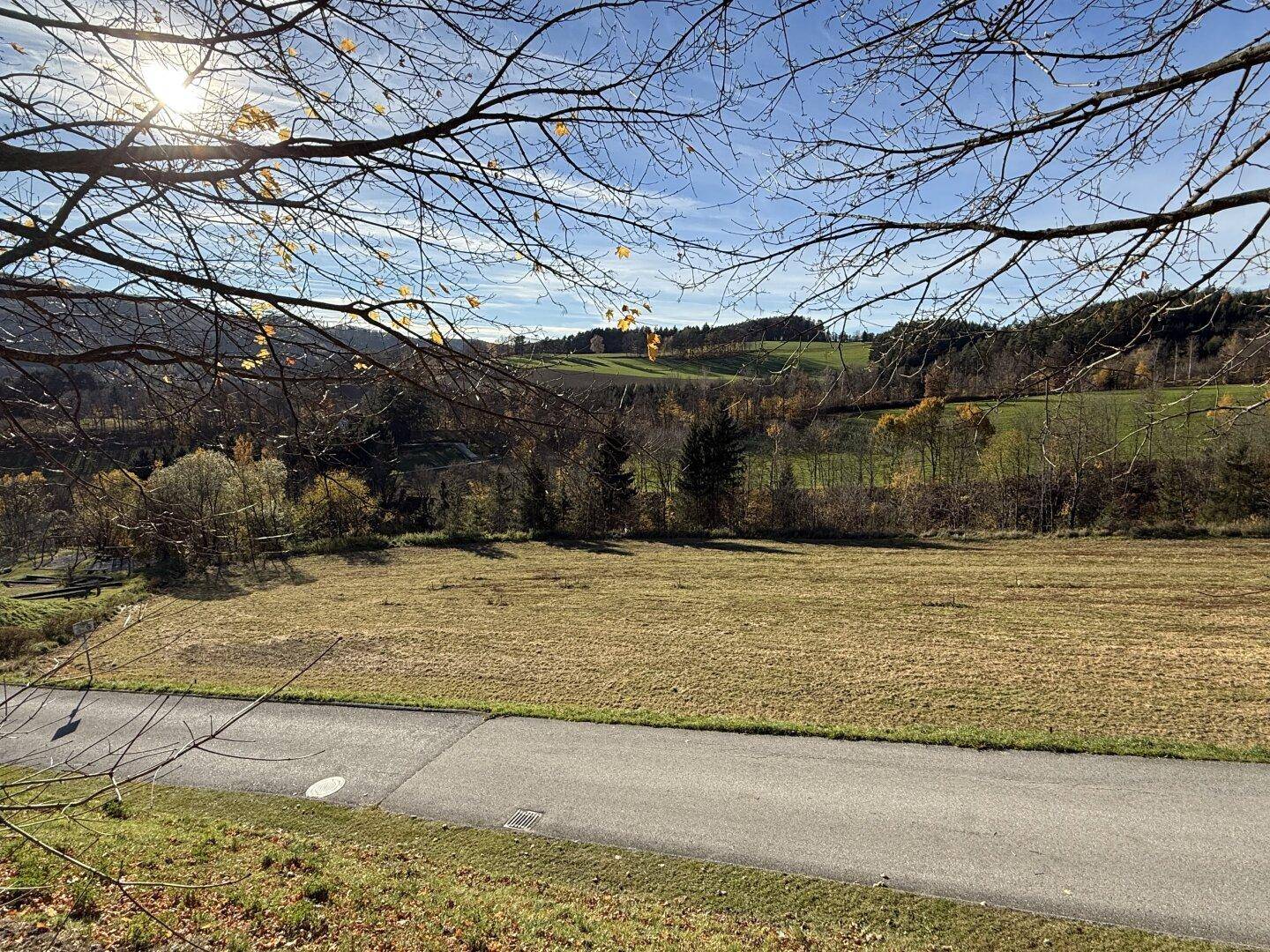 Panoramablick über ein Feld und bewaldete Hügel, eingerahmt von kahlen Ästen im Vordergrund.