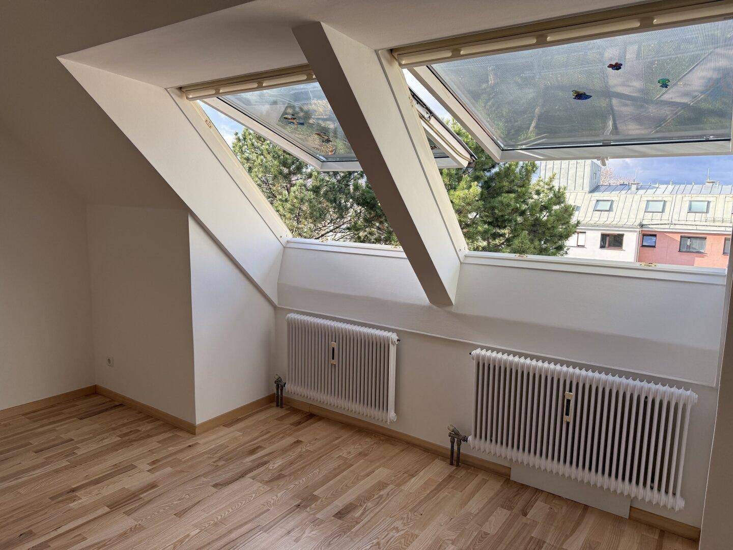 Detailansicht der großen Dachfenster im Wohnzimmer, die viel Tageslicht hereinlassen.