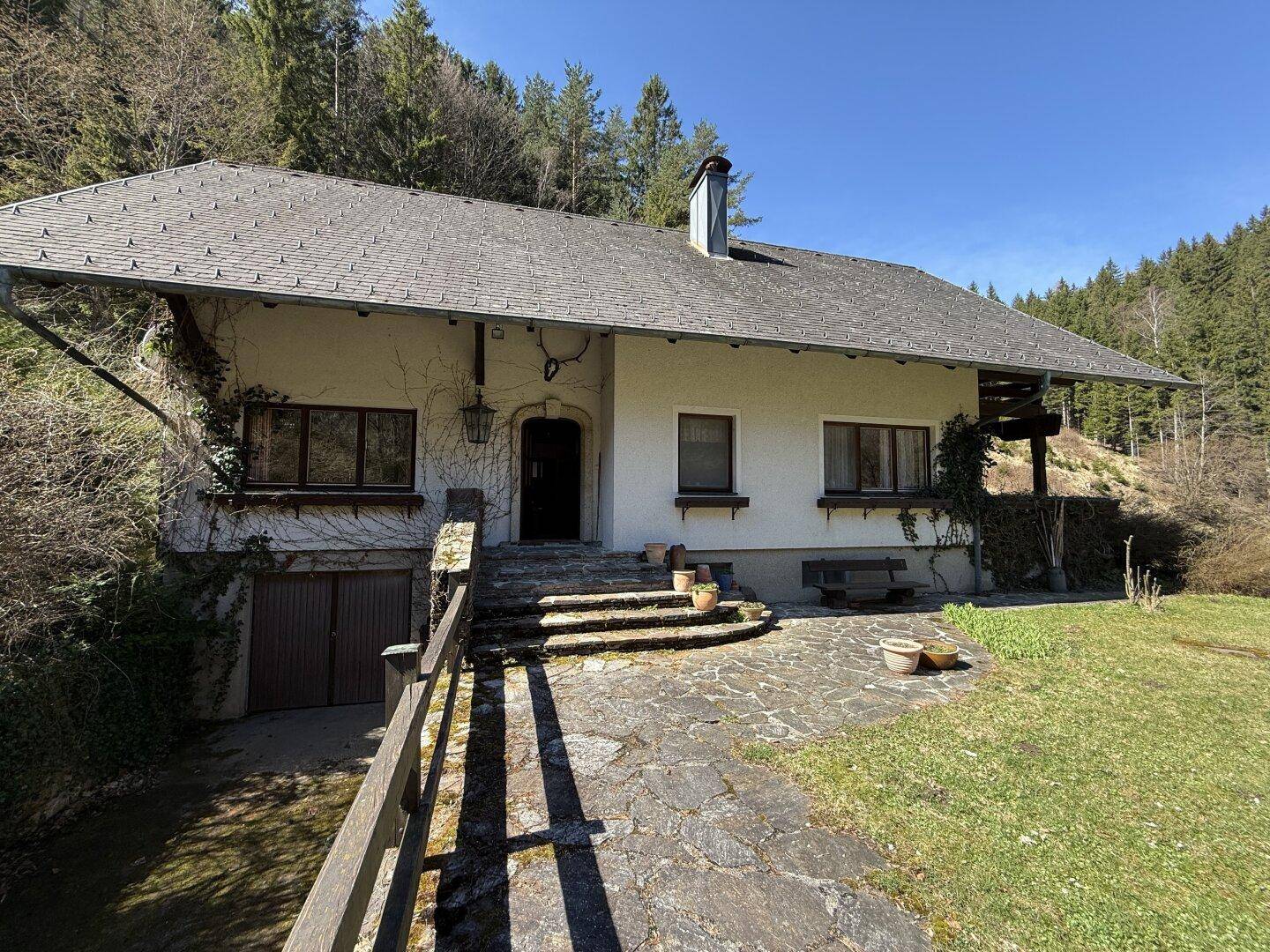 Eingangsbereich des Hauses mit rustikaler Steintreppe, gepflastertem Vorplatz und integrierter Garage.