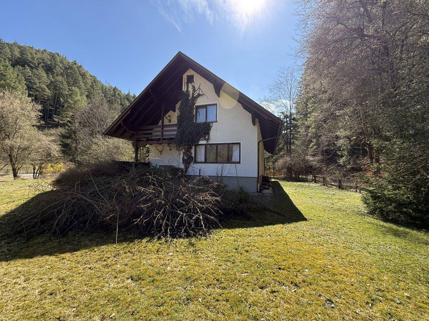 Seitenansicht des Hauses mit sonnigem Gartenbereich und Blick auf den umliegenden Wald und die Natur.