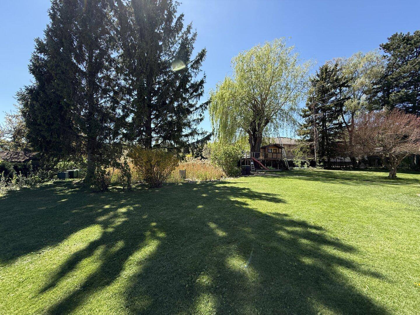 Sonniger Garten mit gepflegtem Rasen, großen Bäumen und einem charmanten Spielhaus im Hintergrund.