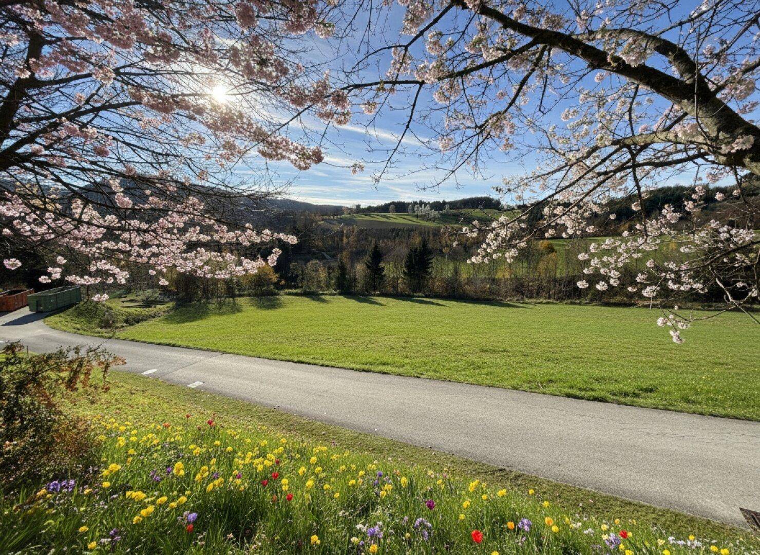 Bromberg - Bad Erlach-Nähe - neu parzellierte, sonnige Baugrundstücke in leichter Hanglage ab € 68.110,00 - Ansicht 6