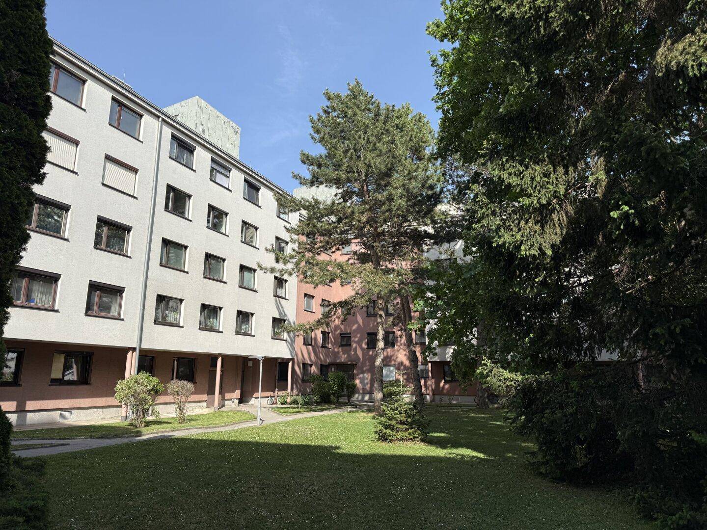Ein gepflegter Innenhof mit hohen Bäumen und Rasenflächen, umgeben von Mehrfamilienhäusern bei klarem Wetter.