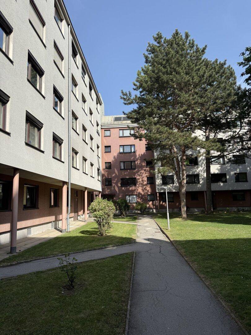 Ein sonniger Innenhof zwischen Wohngebäuden mit Rasenflächen und einem gepflasterten Weg führt durch die Anlage.