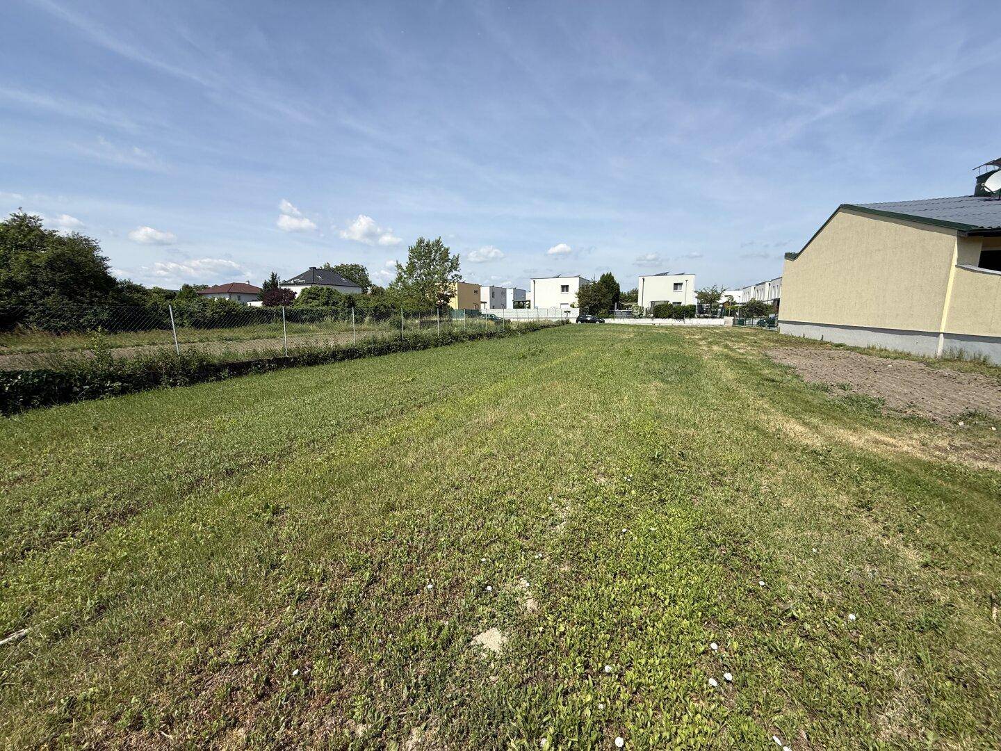 Sonniges, offenes Grundstück mit grüner Wiese und Blick auf die umliegende Wohnbebauung.