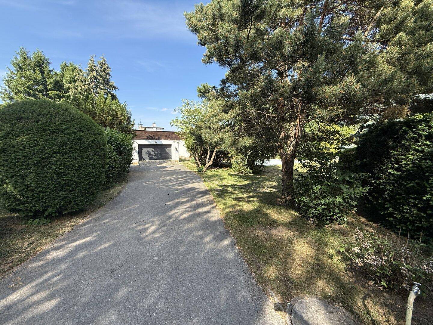 Zufahrt zur Garage des Hauses, umgeben von Bäumen und Sträuchern unter blauem Himmel.