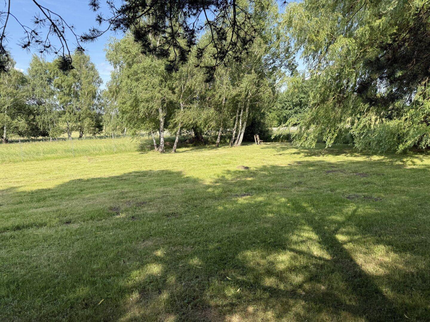 Weitläufige Rasenfläche mit jungen Bäumen und Blick auf die umgebende Naturlandschaft.