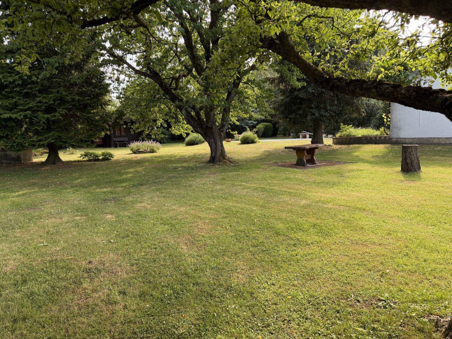 Großer, gepflegter Garten mit schattenspendenden Bäumen und einer rustikalen Steinbank.