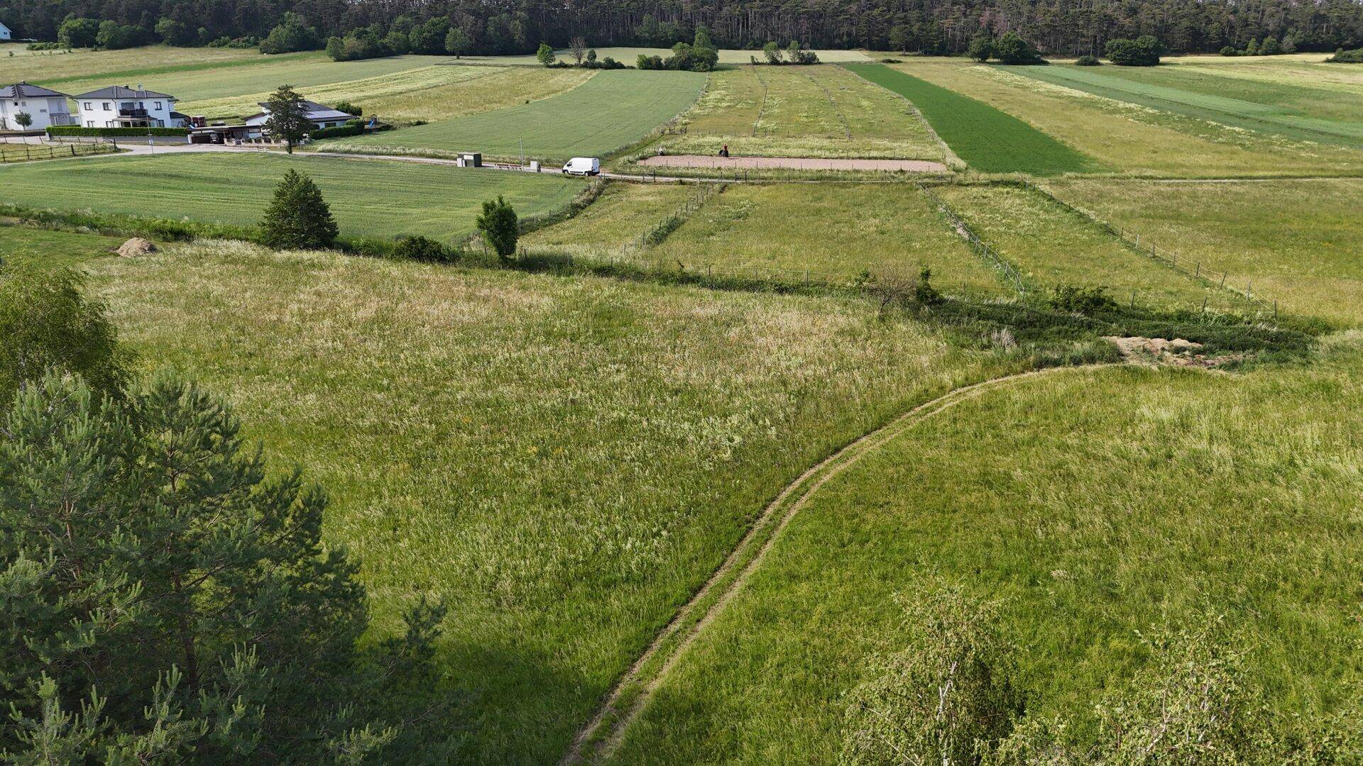 Weitläufige Grünflächen mit einem Feldweg, umgeben von ländlicher Bebauung und Wäldern.