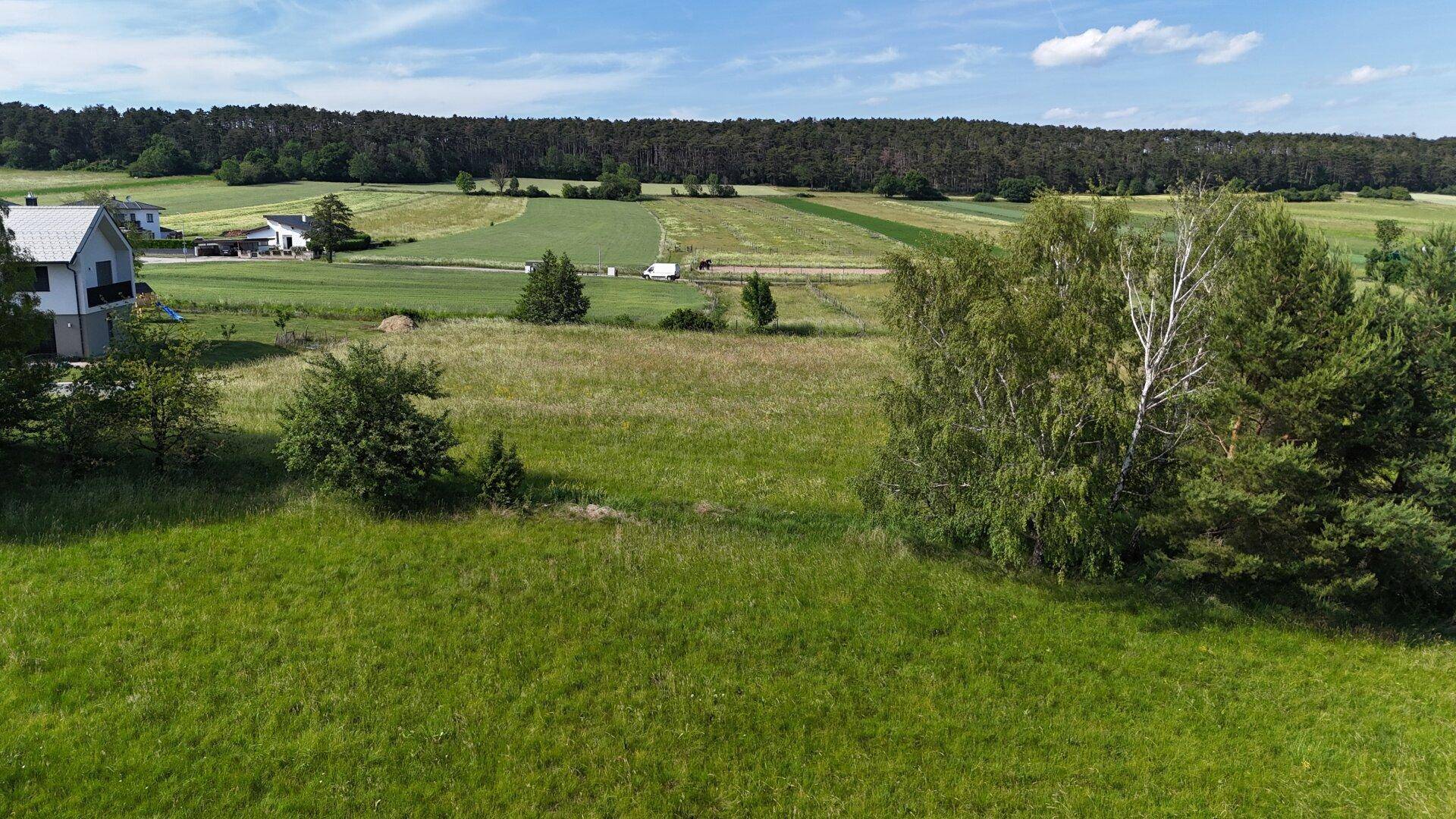 Panoramablick über grüne Wiesen und Felder mit vereinzelten Bäumen und Häusern am Horizont.