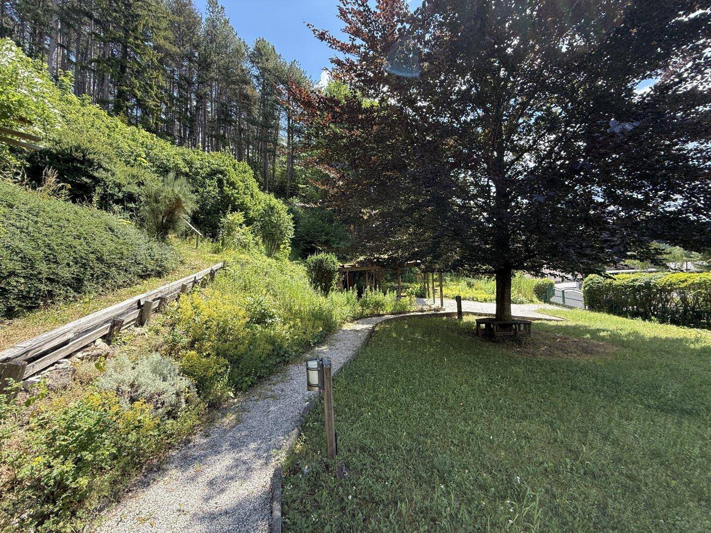 Weitläufiger Gartenbereich mit Kiesweg, Rasen und großen Bäumen am Fuße eines Hügels.