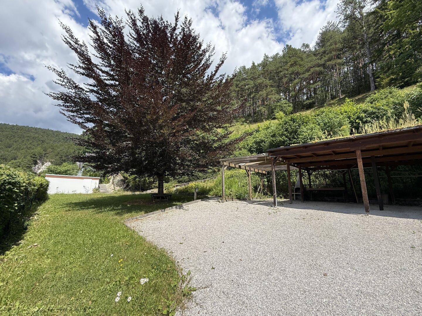 Großer Kiesparkplatz mit Carport und Rasenfläche, umgeben von Bäumen und Natur.