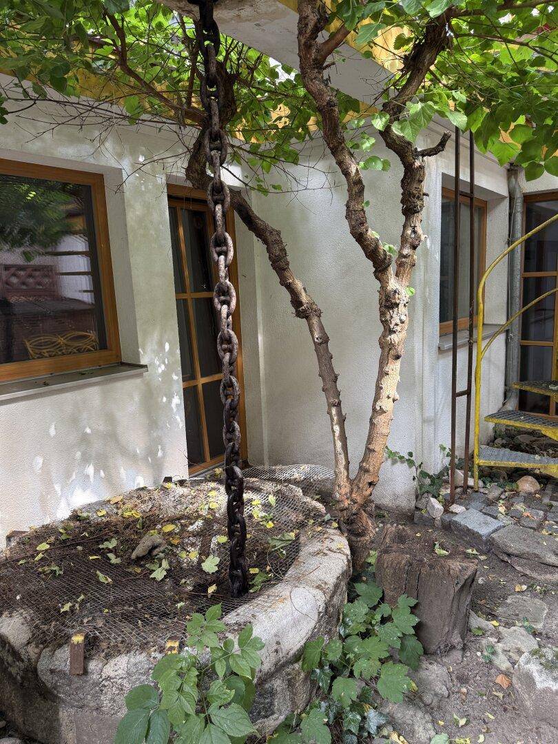 Detailansicht eines Brunnens mit Kette und üppiger Vegetation im Garten.