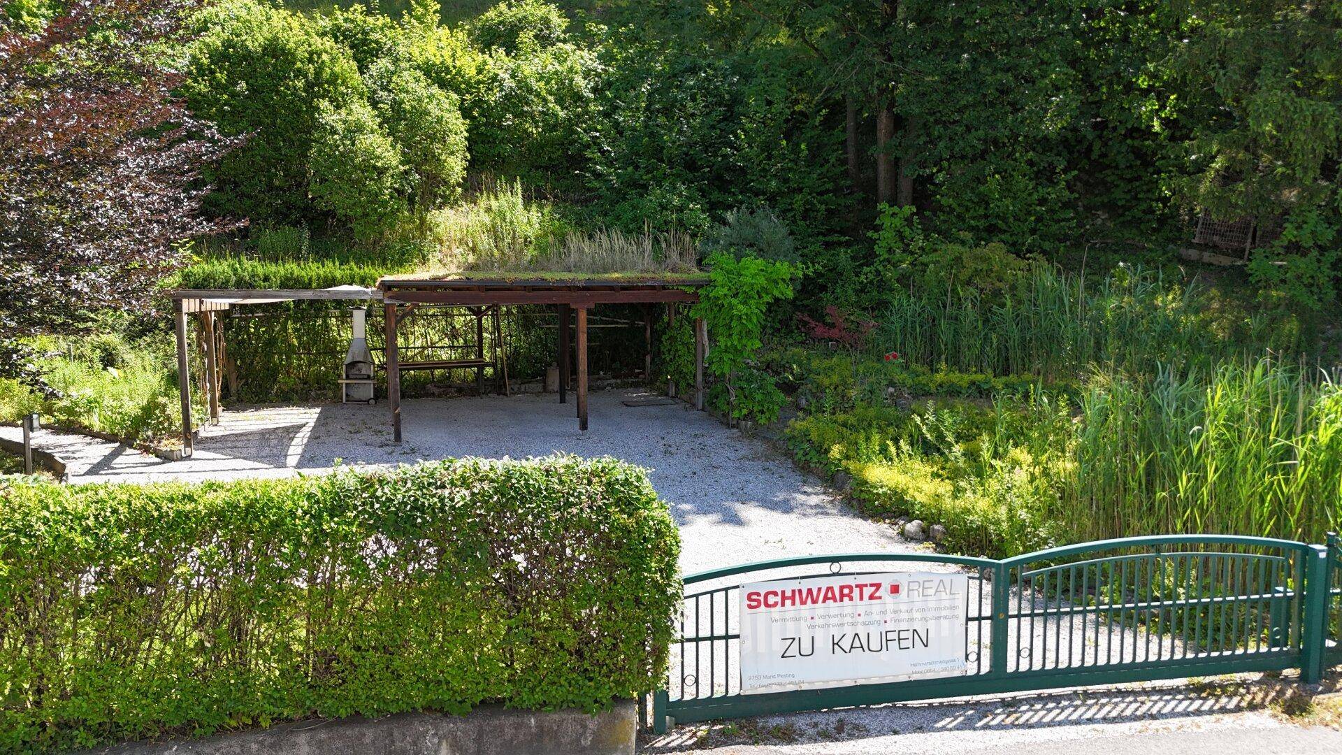 Eingangsbereich mit grüner Hecke, Tor und Carport, umgeben von viel Grün und Natur.