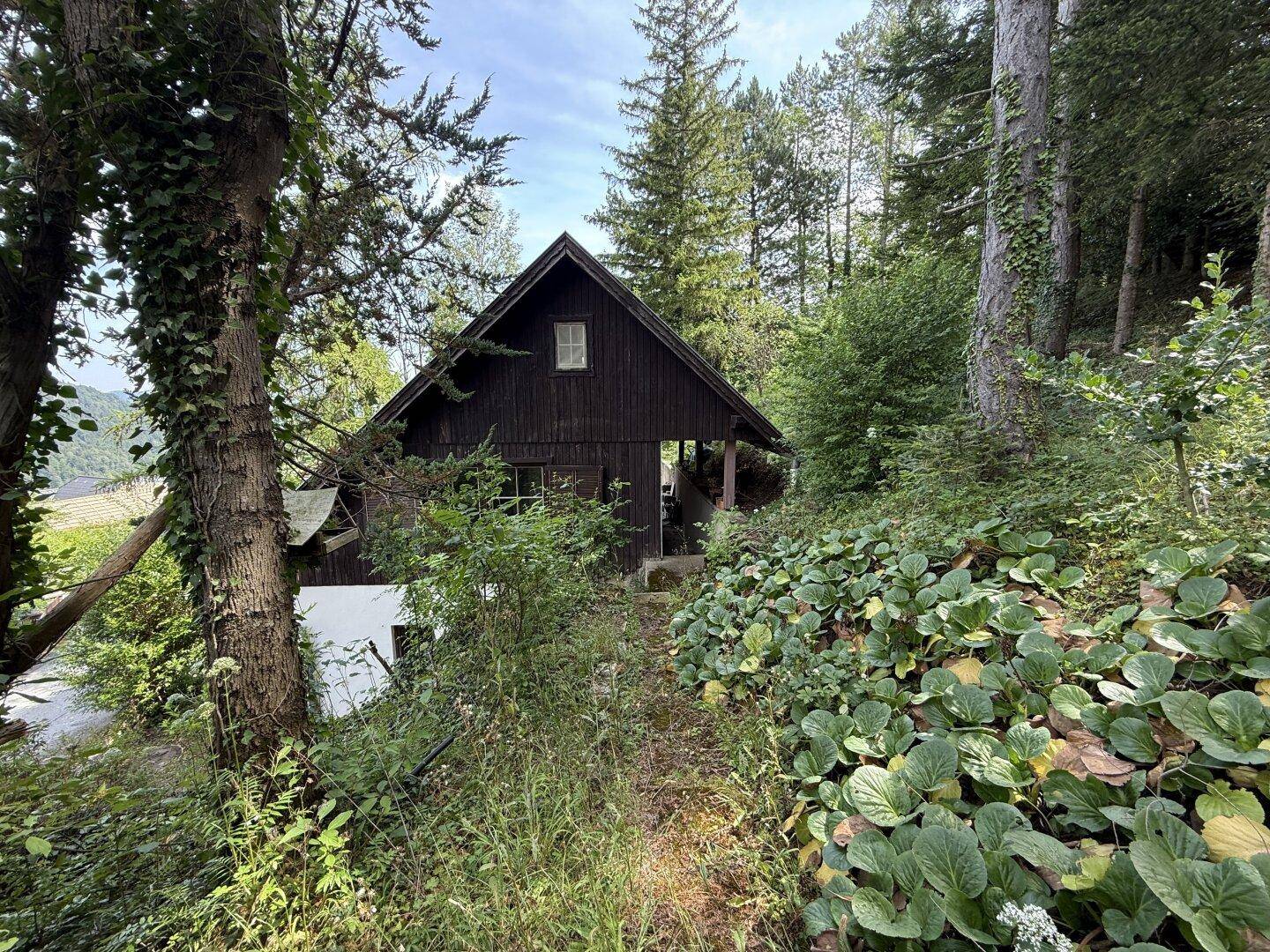 Das Haus ist von Bäumen und Sträuchern umgeben, was eine private und naturnahe Lage suggeriert.