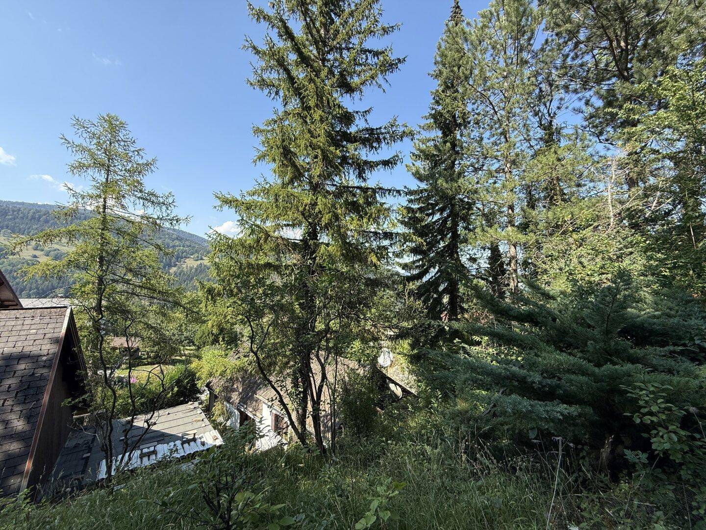 Panoramablick auf die grüne Hügellandschaft mit dichten Wäldern und einem Teil des Daches eines Hauses.