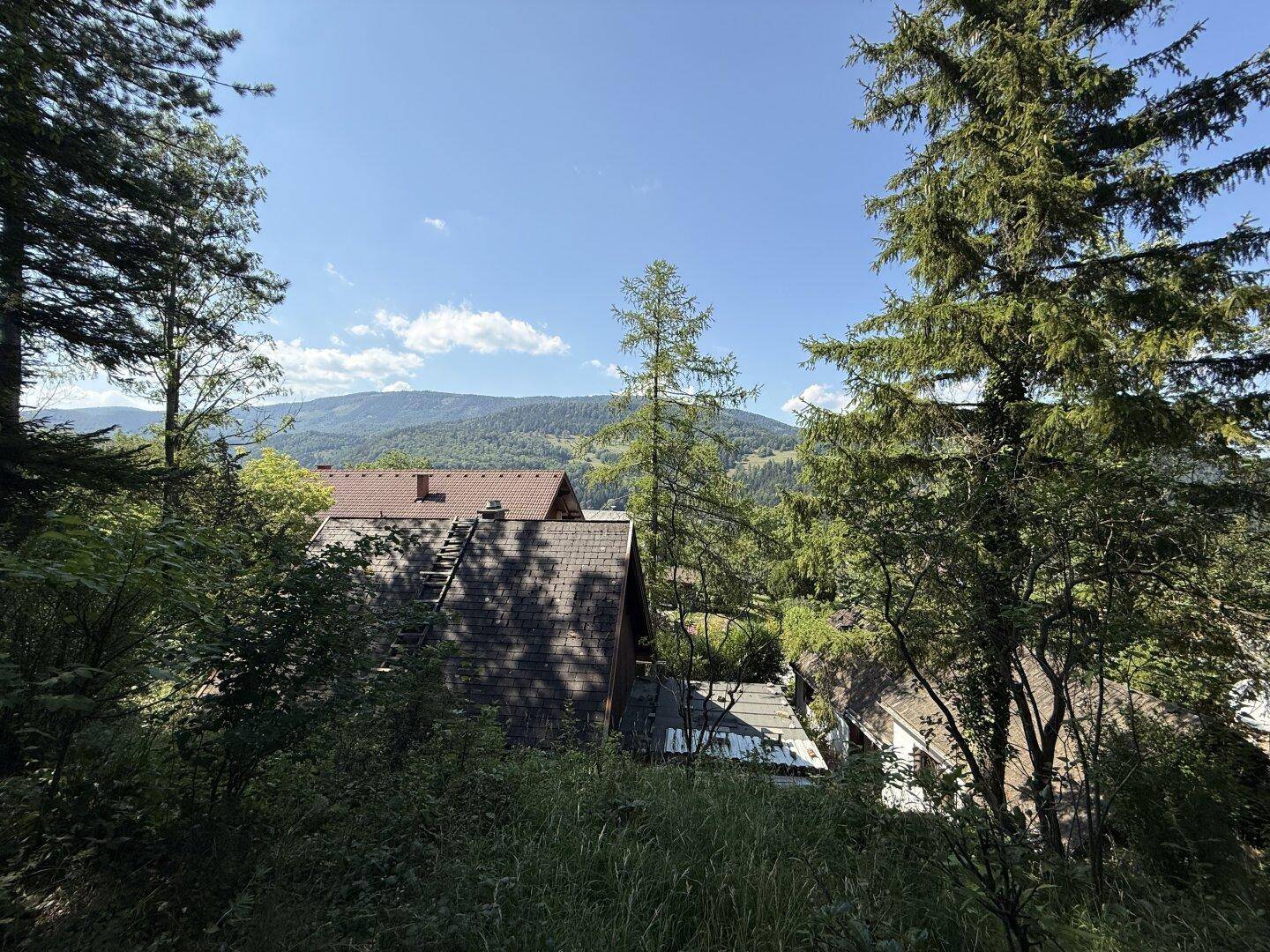 Weitläufiger Blick über eine bewaldete Tallandschaft mit mehreren Häusern und fernen Bergen.