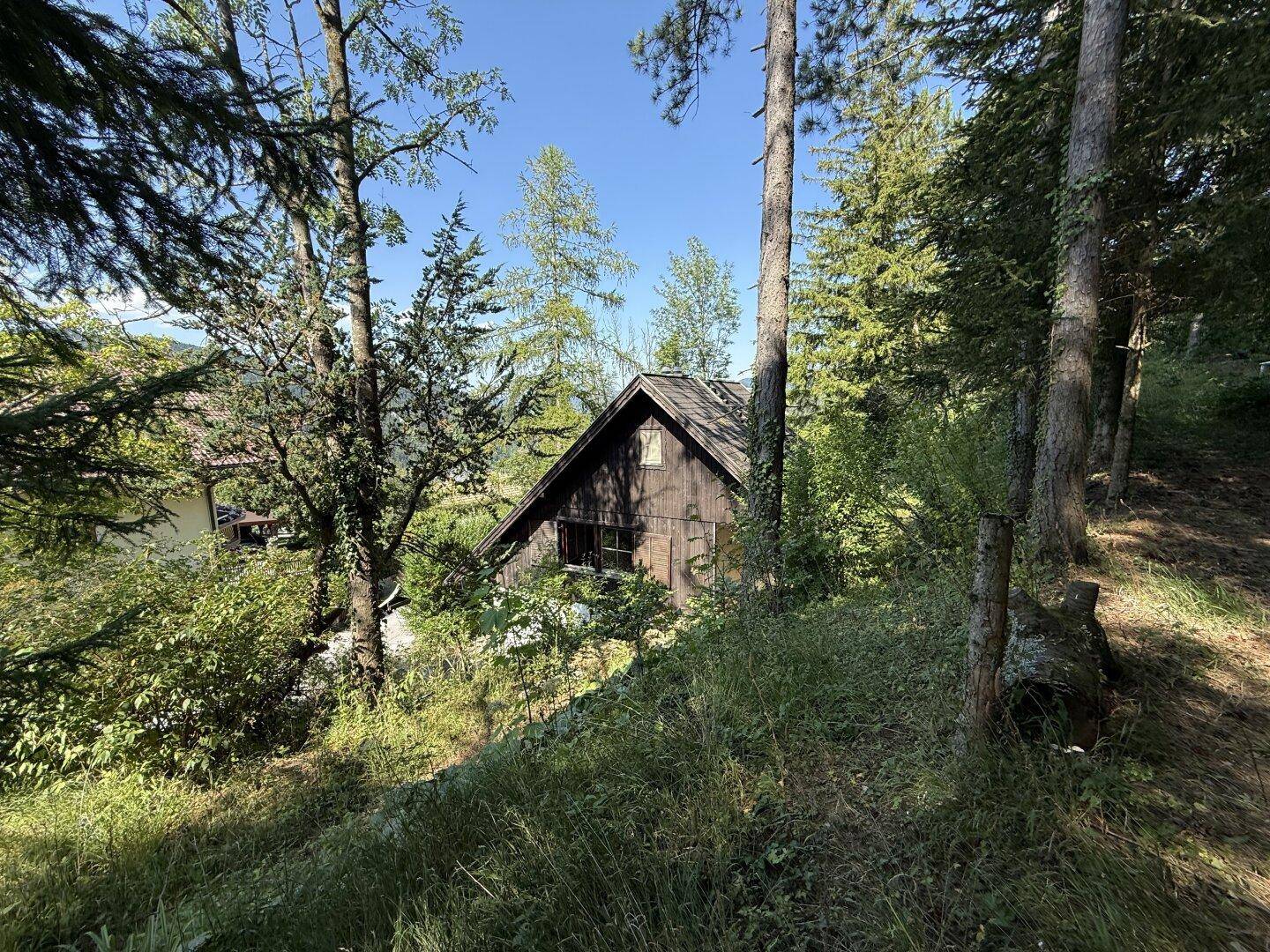 Das rustikale Holzhaus liegt idyllisch eingebettet in eine bewaldete Hügellandschaft unter blauem Himmel.