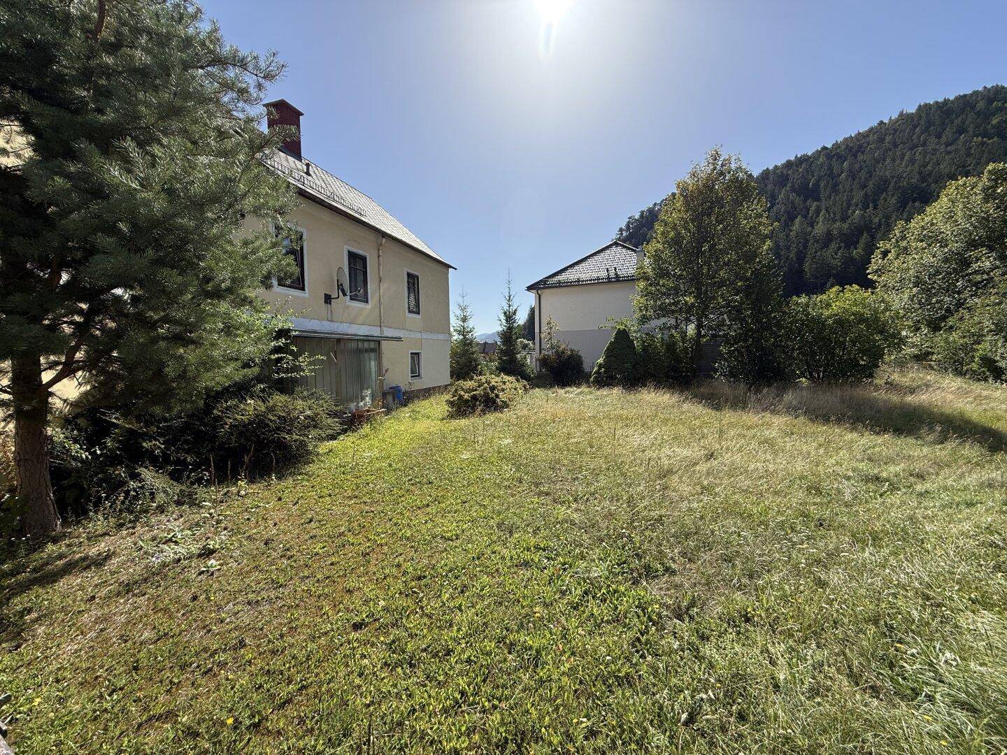 Große, sonnige Rasenfläche mit altem Baumbestand neben einem Wohnhaus.