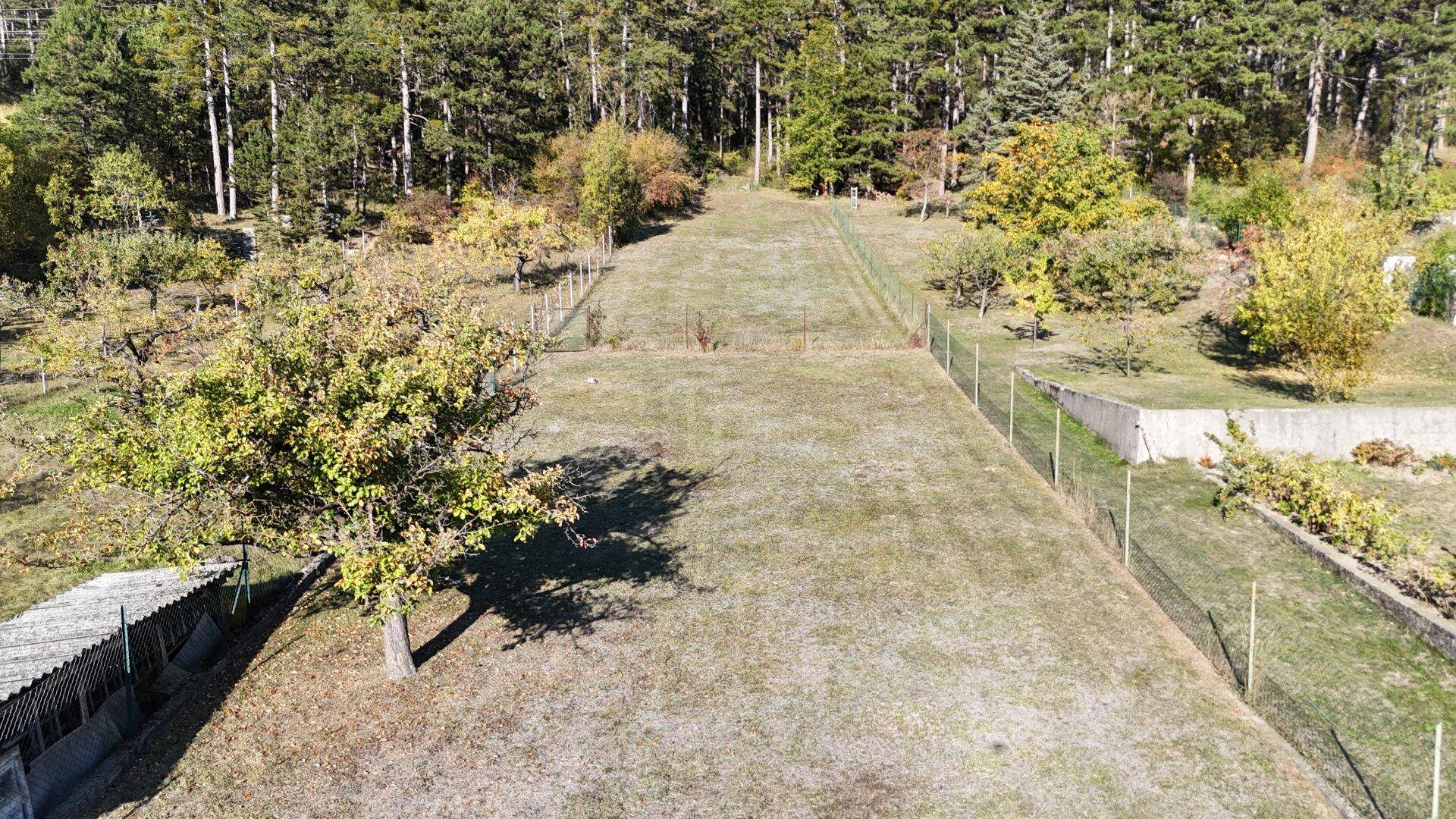 Weitläufiger Gartenbereich mit Obstbäumen und Blick auf den angrenzenden Wald.