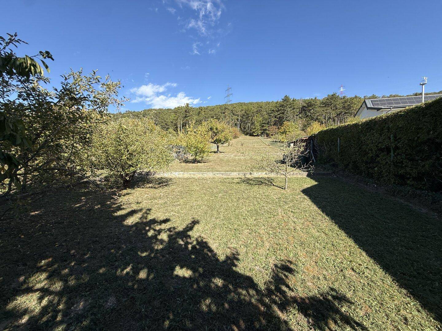 Grüner, leicht abfallender Gartenbereich mit Hecke und Blick auf bewaldete Hügel.