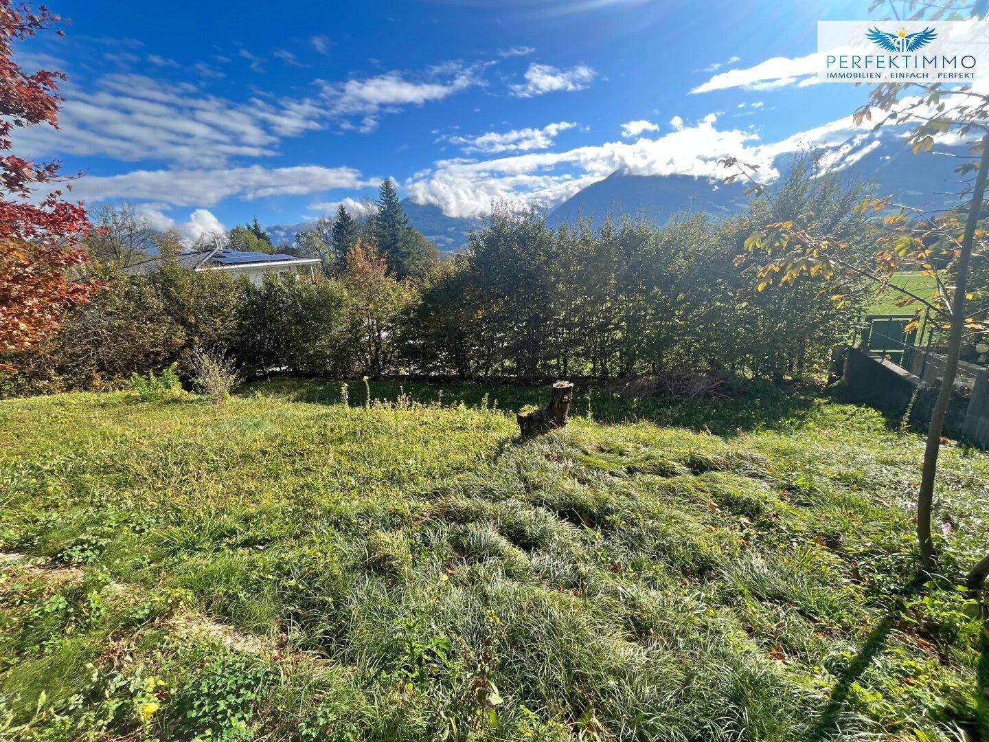 Großer, naturbelassener Gartenbereich mit Wiese und Hecken, umgeben von Bäumen und Bergen.