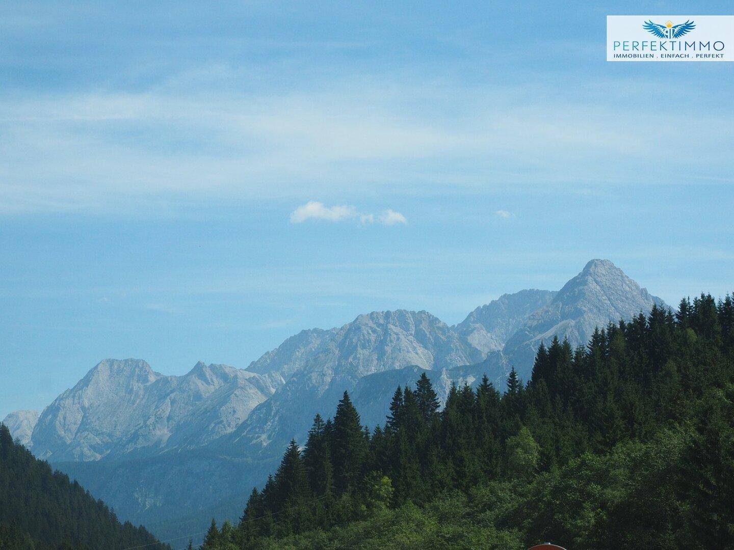Majestätischer Bergblick mit dichten Wäldern unter einem klaren blauen Himmel.