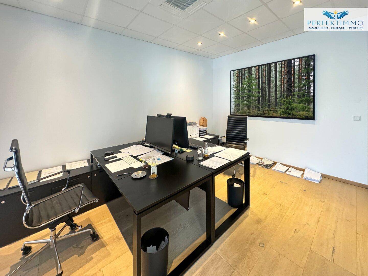 Einzelbüro mit großem Schreibtisch, Bürostuhl und einem Wandbild mit Waldmotiv.