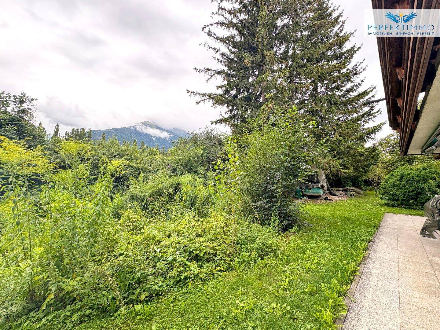 Weitläufiger Blick ins Grüne mit üppiger Vegetation und majestätischen Bergen im Hintergrund.