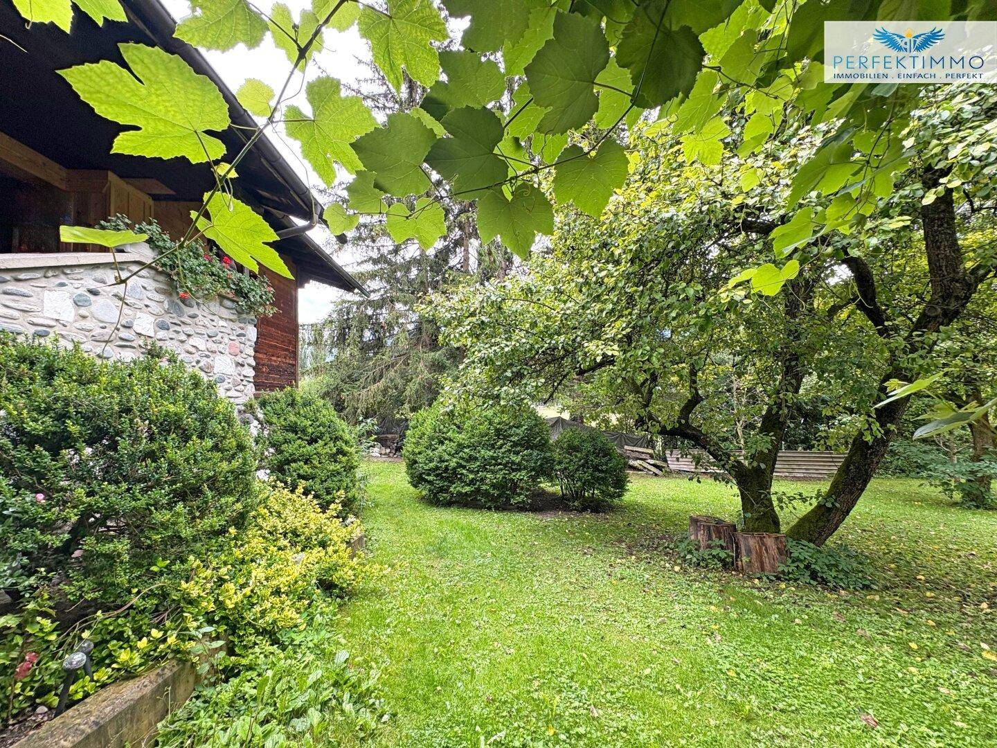 Großer, grüner Garten mit altem Baum, Rasenfläche und Blick auf das traditionelle Haus.