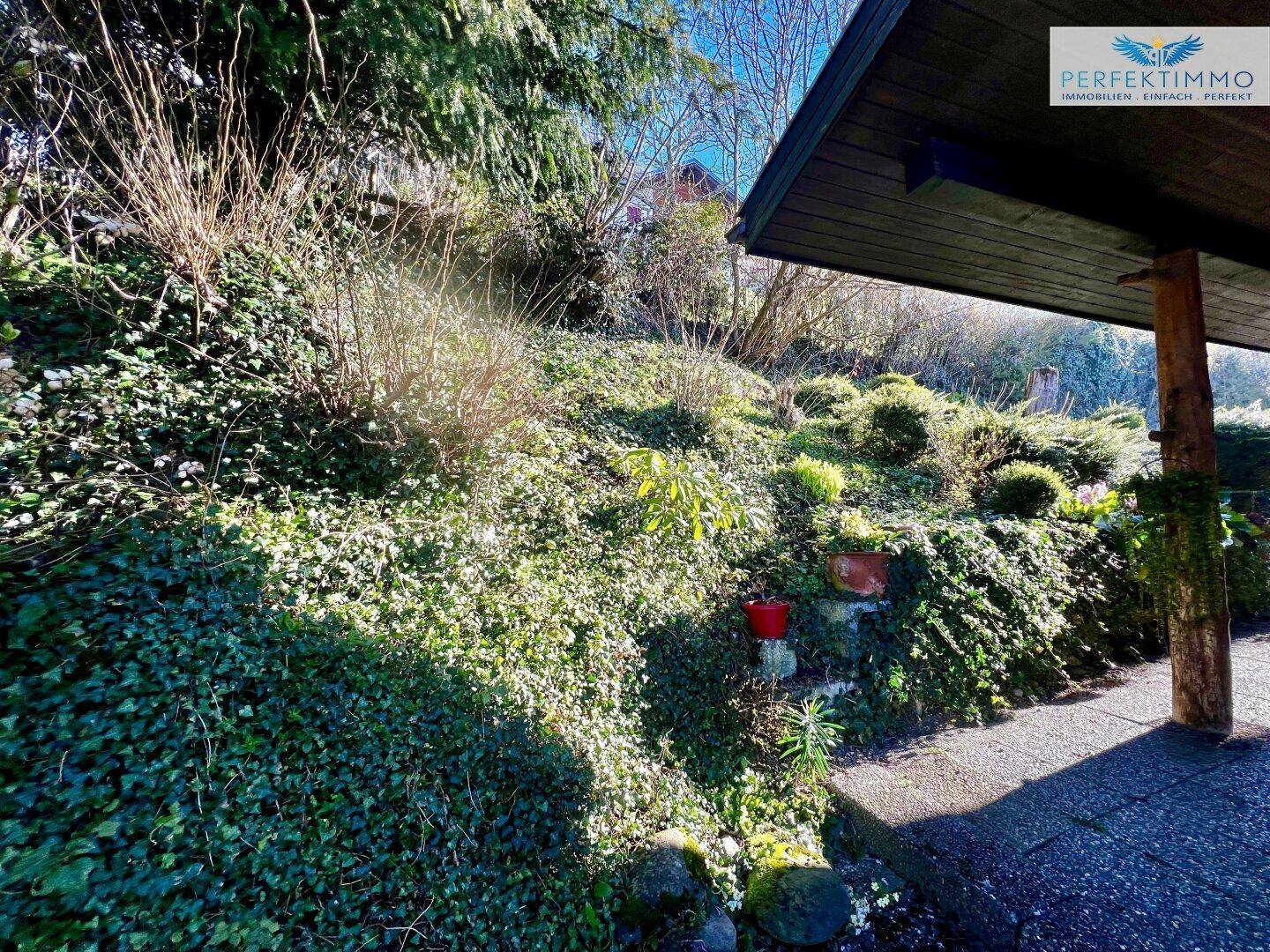 Grüner Hang mit dichtem Bewuchs und einem überdachten Weg neben dem Haus.