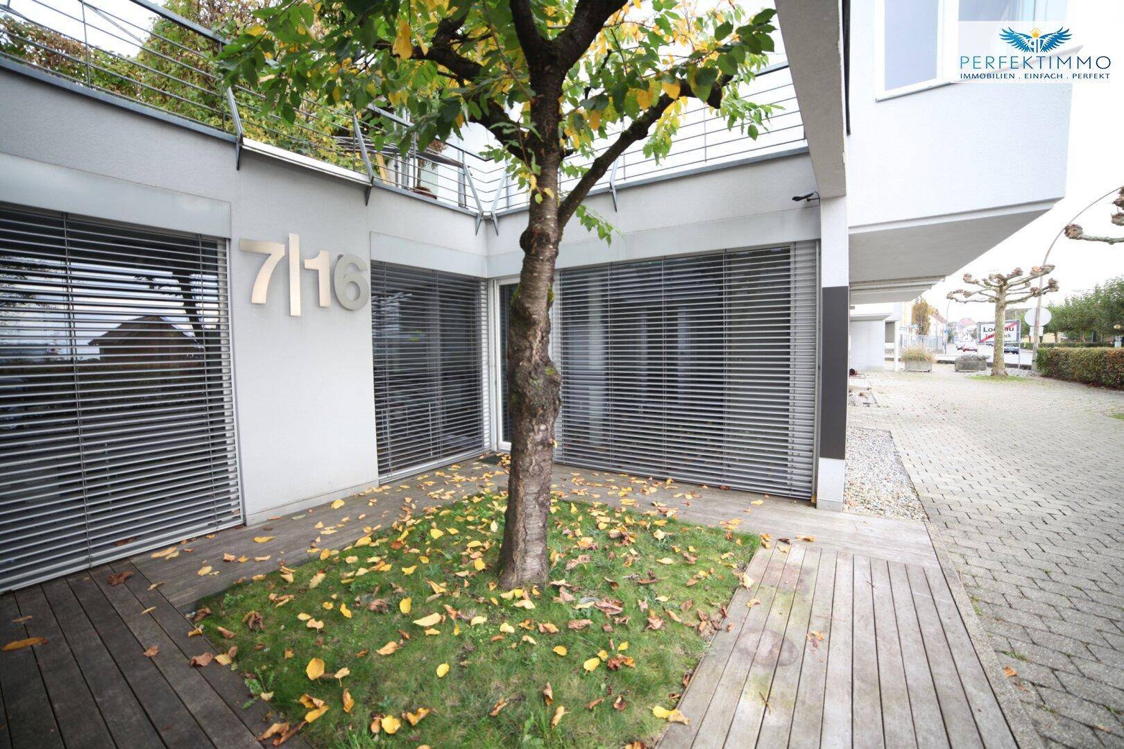 Eingangsbereich mit Holzdeck, einem Baum und modernen Jalousien an den Fenstern.