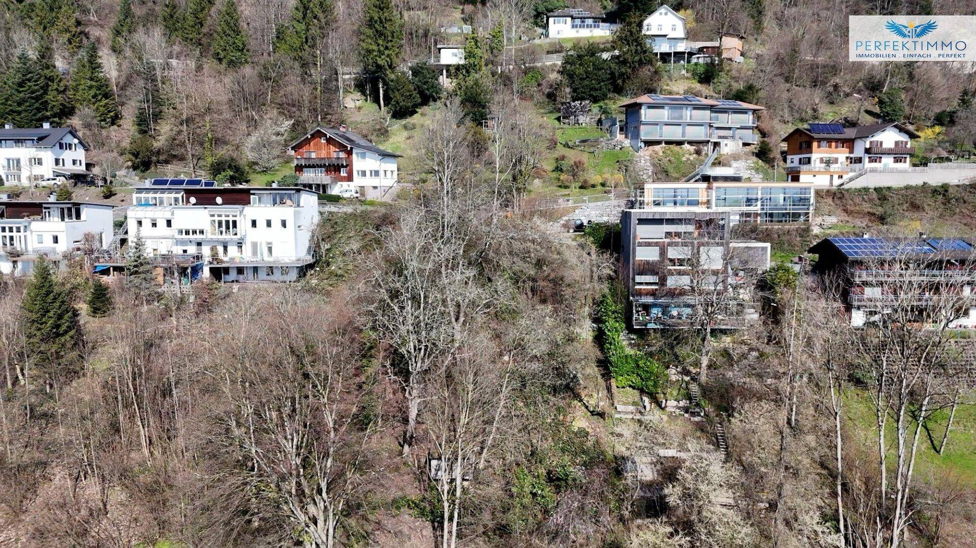 Hanglage mit verschiedenen Wohnhäusern, umgeben von kahlen Bäumen, die auf eine winterliche oder frühlingshafte Szenerie hindeuten.
