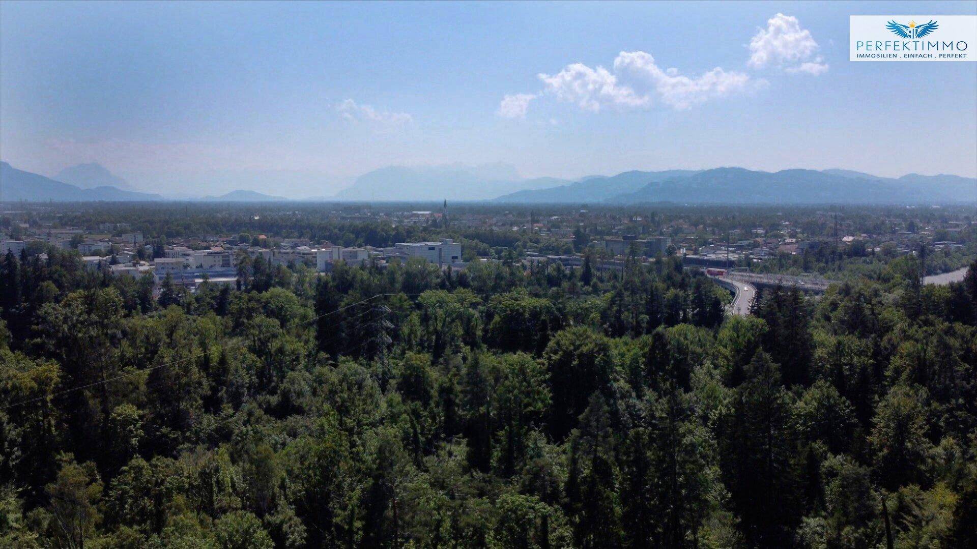 Weitläufige Landschaftsaufnahme mit grünen Wäldern, einer Stadt in der Ferne und majestätischen Bergen am Horizont.