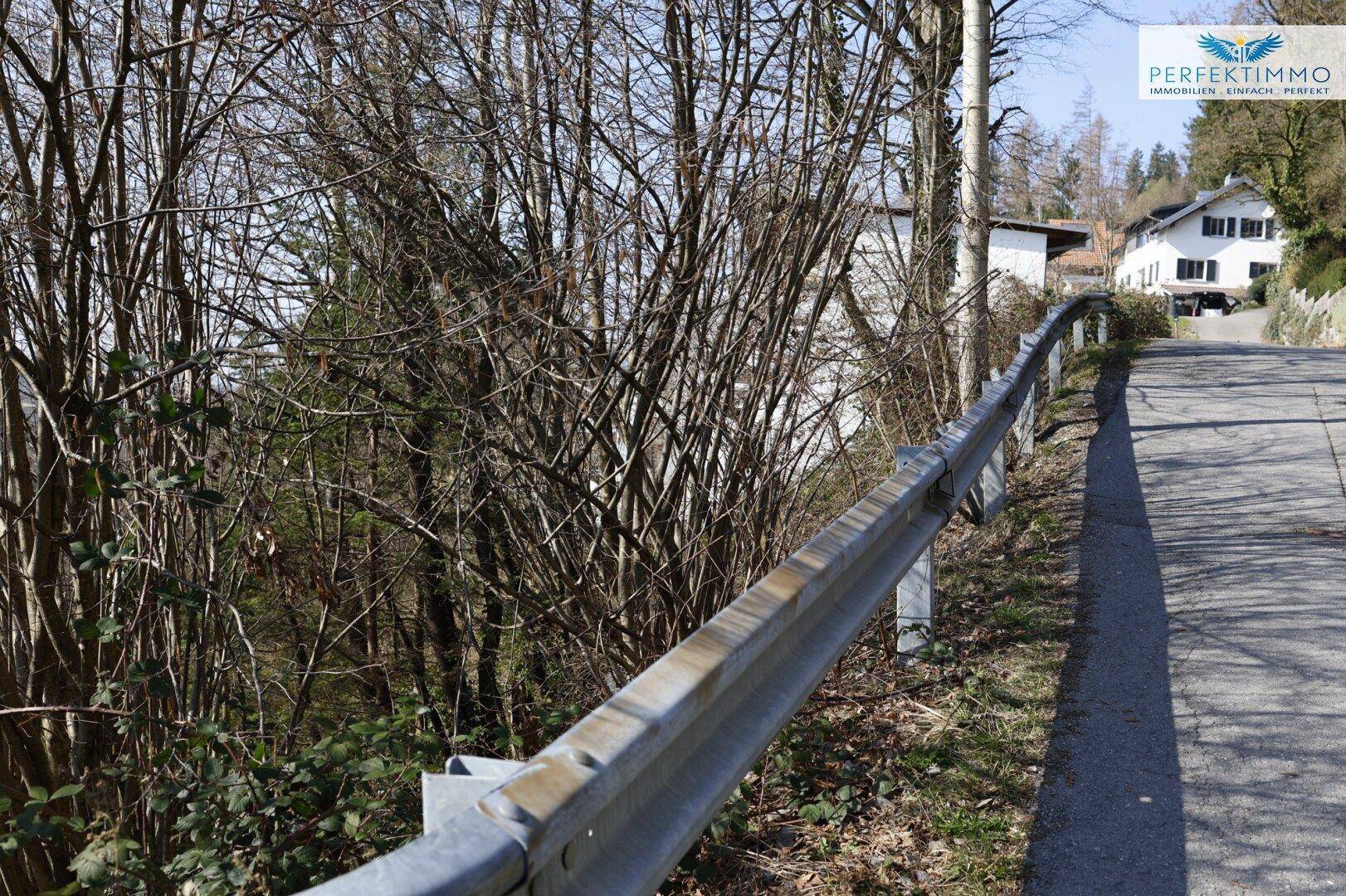 Eine Landstraße mit Leitplanke, umgeben von dichtem Buschwerk und Bäumen, führt zu einem Haus in der Ferne.